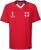 Outerstuff Men’s FIFA World Cup Classic Secondary Short Sleeve Jersey