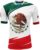 Arza Sports Mexico Men Fan Jersey Color Green,White,Red